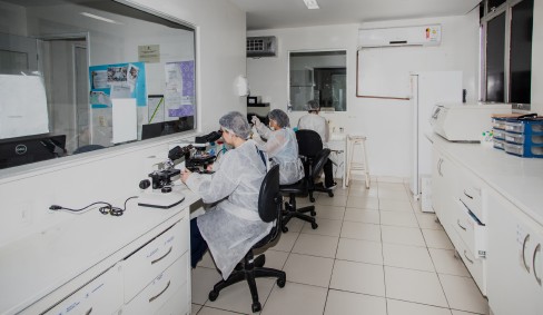 Imagem sobre Gestão do laboratório de histocompatibilidade